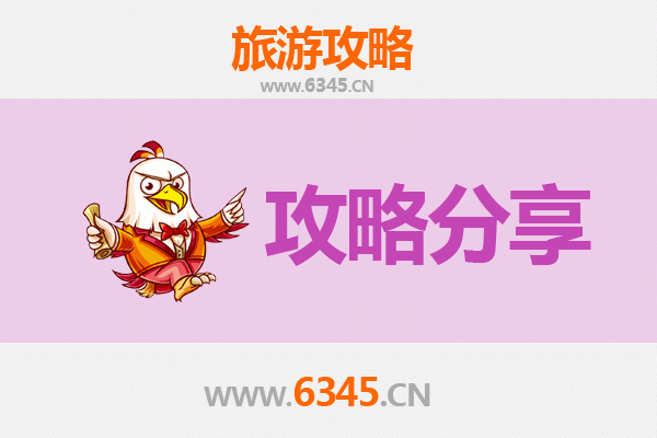 伊春汤旺河旅游攻略：跟团与自由行深度对比