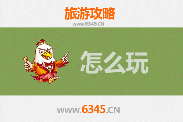 节假日伊春汤旺河旅游全攻略：森林奇遇与生态之旅